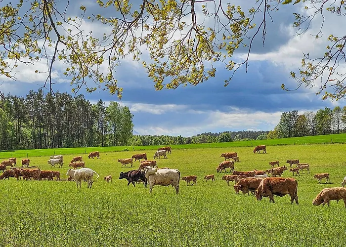 Beautiful In Podwilczyn With Sauna Дом отдыха *